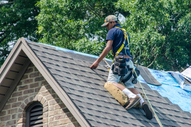 Professional Roofing Contractor in Bishop, CA
